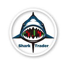 Shark Trader - marketing digital - rateio de concursos