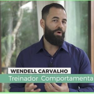 Curso Ciclo Da Maestria 2.0 – Wendell Carvalho 2020.1